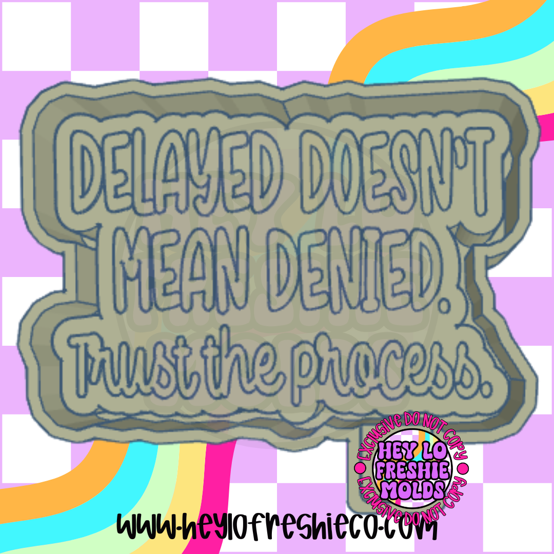 Delayed Doesn't Mean Denied Silicone Mold