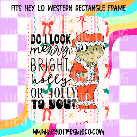 Pick Your Own Cardstock | Western Rectangle Do I Look Merry Frog
