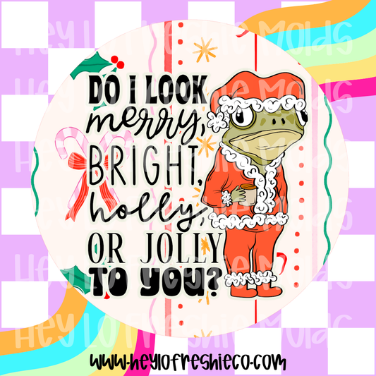 Pick Your Own Cardstock | Merry Bright Holly Or Jolly
