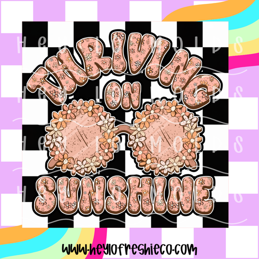 Square Cardstock | Thriving On Sunshine