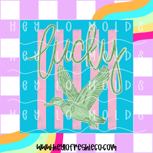 Square Cardstock | Lucky Duck