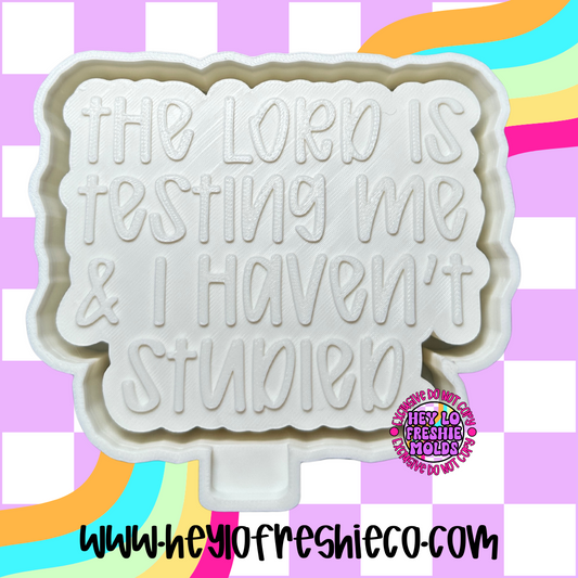 The Lord Is Testing Me Silicone Mold