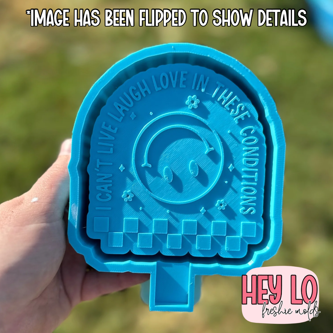 I Can't Live Laugh Love In These Conditions Silicone Mold
