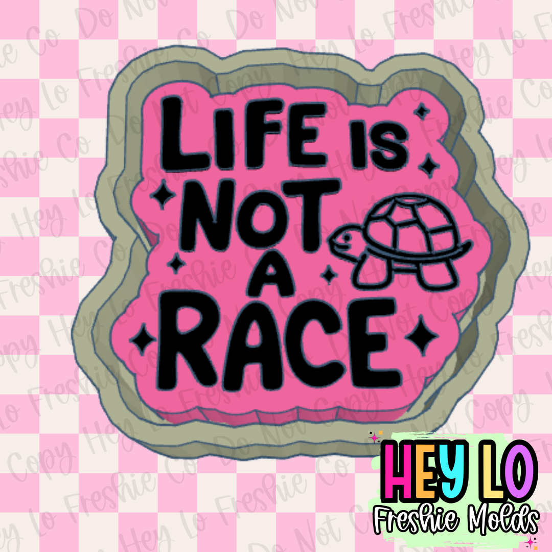 Life Is Not A Race Freshie Mold