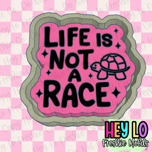 Life Is Not A Race Freshie Mold